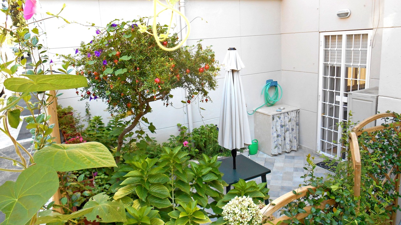 Photo of Patio Balcony in Gianicolo