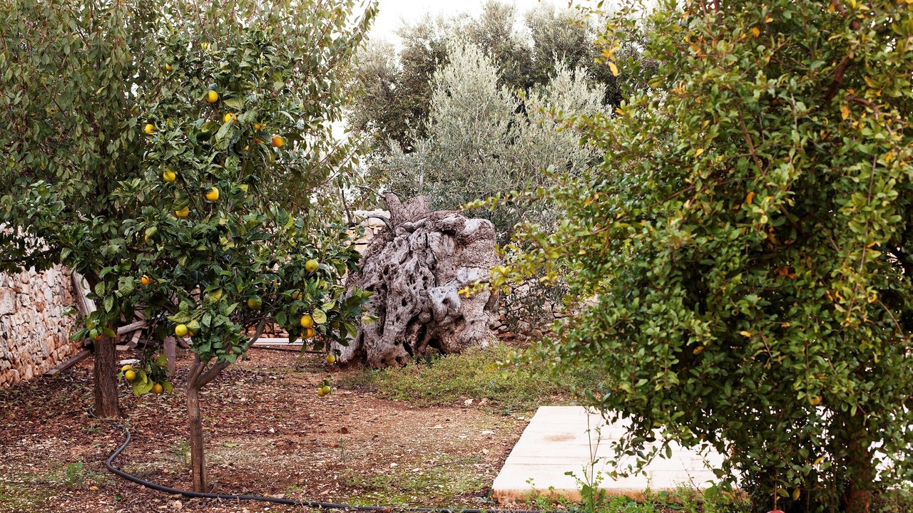 Photo of Outdoor in L'Assunta