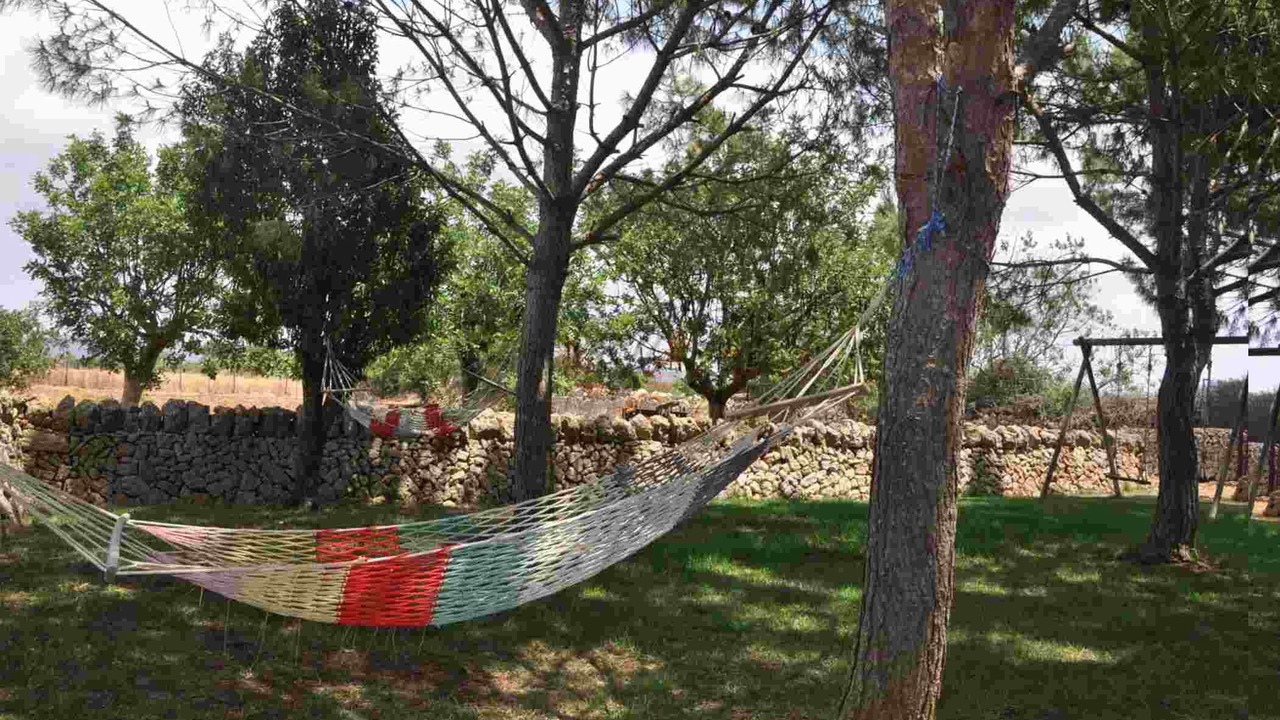 Photo of Outdoor in Felanitx