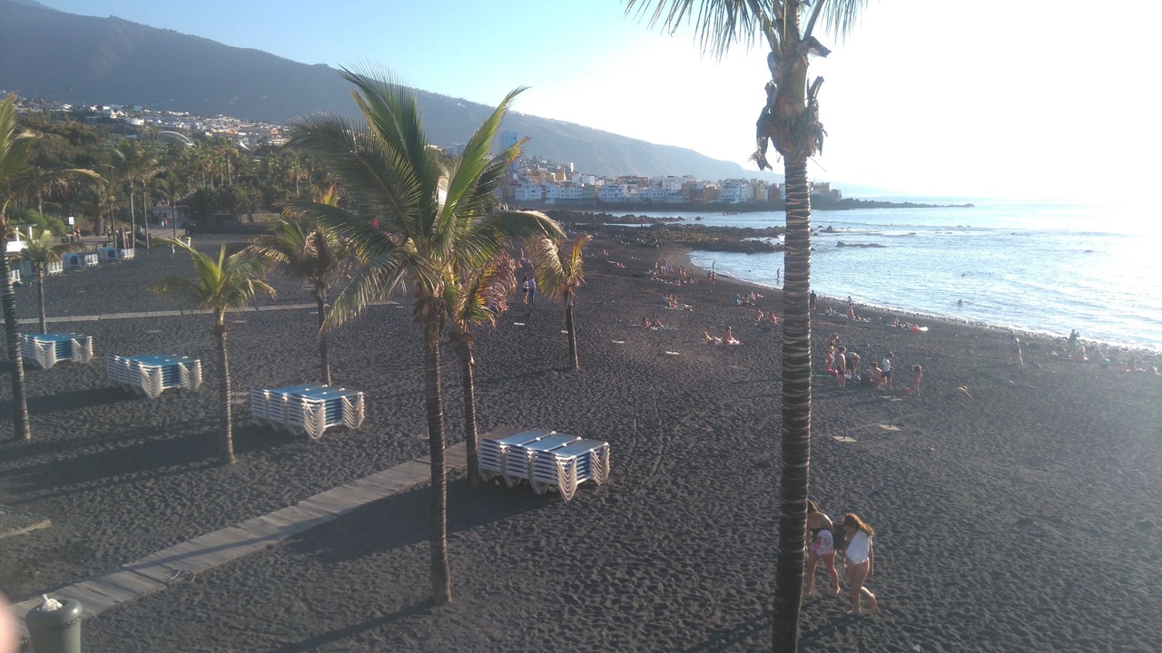 Photo of Others in La Orotava
