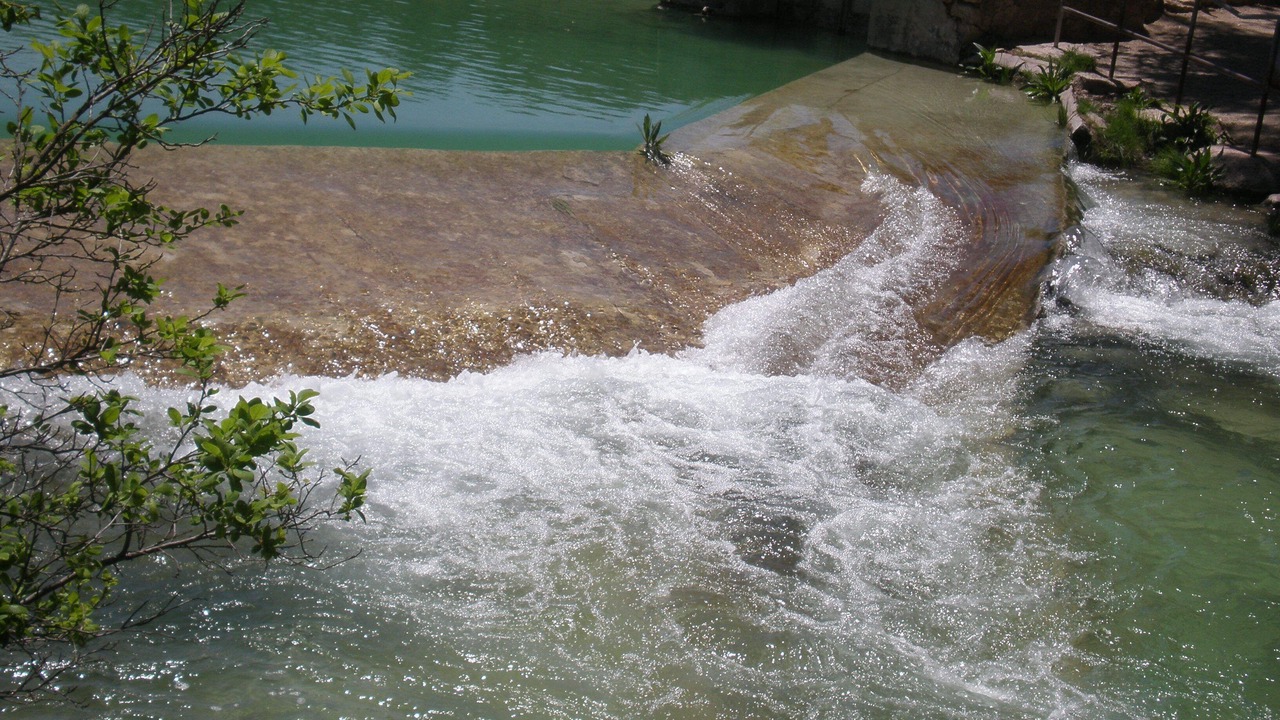 Photo of Outdoor in Membrilla