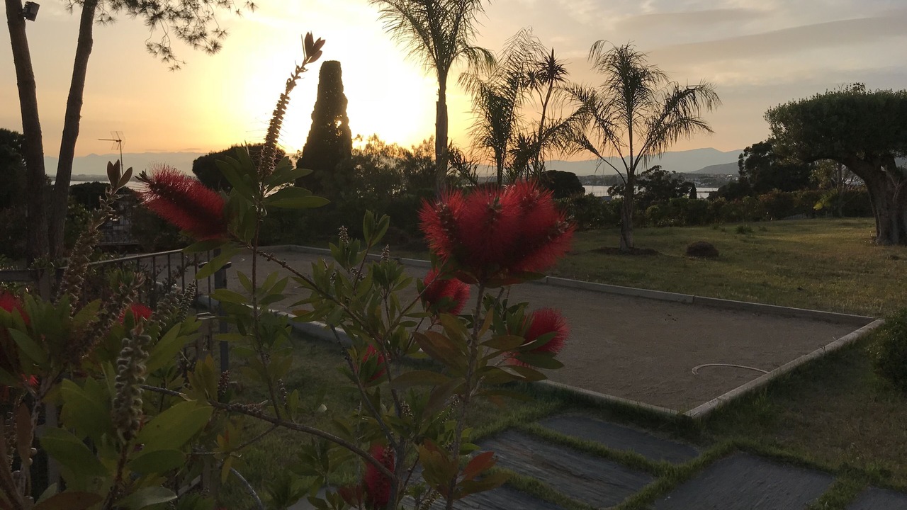 Photo of Outdoor in Roses Town Center