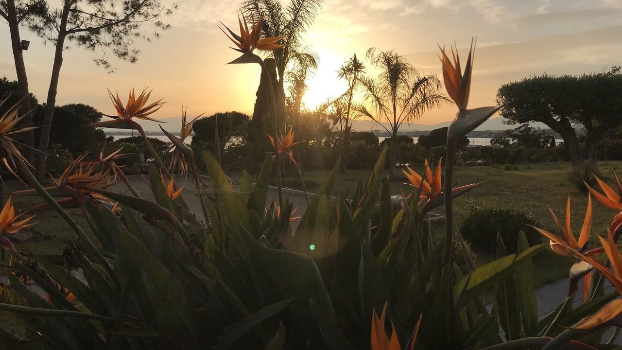 Photo of Outdoor in Roses Town Center