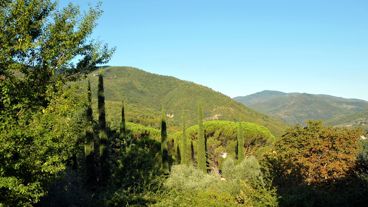 Photo of Outdoor in Londa