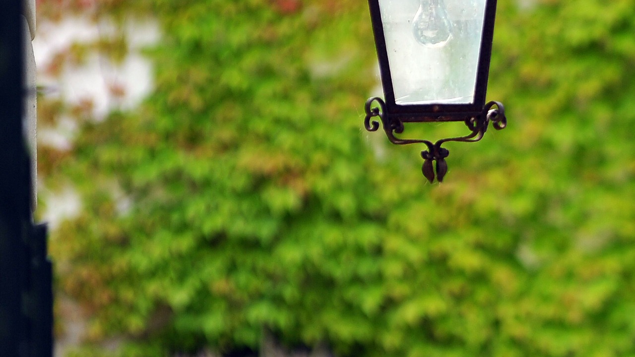 Photo of Outdoor in Londa