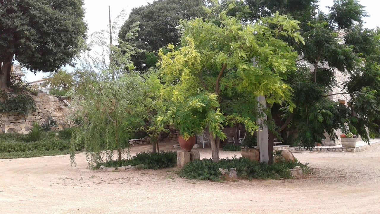 Photo of Outdoor in Nonaspe