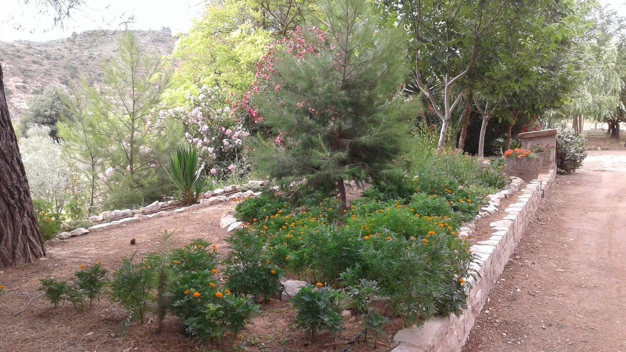 Photo of Outdoor in Nonaspe