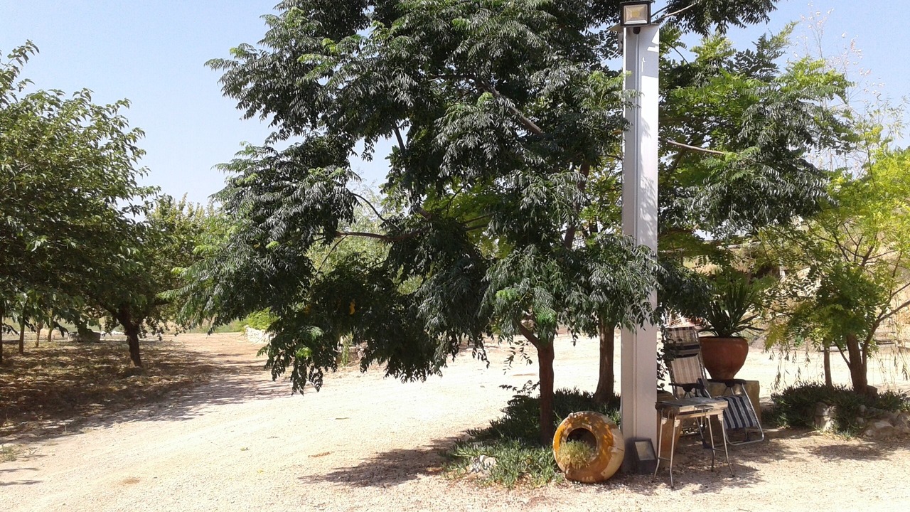 Photo of Outdoor in Nonaspe