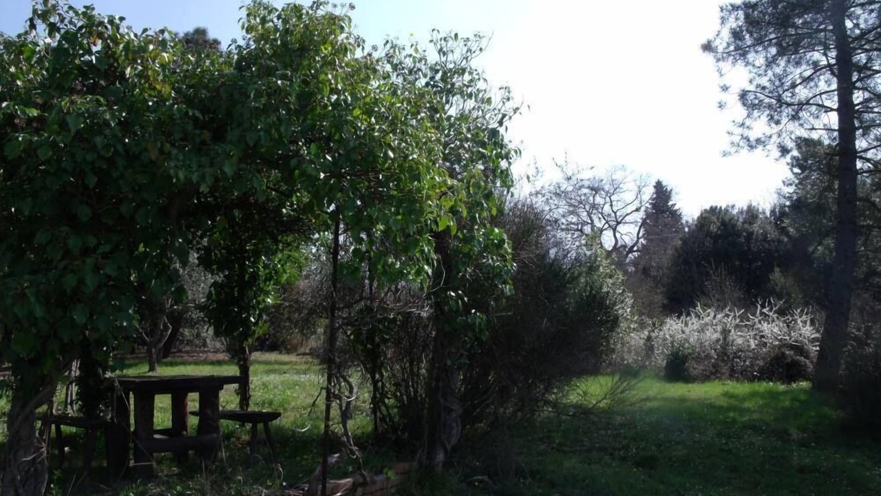 Photo of Outdoor in Monte San Savino
