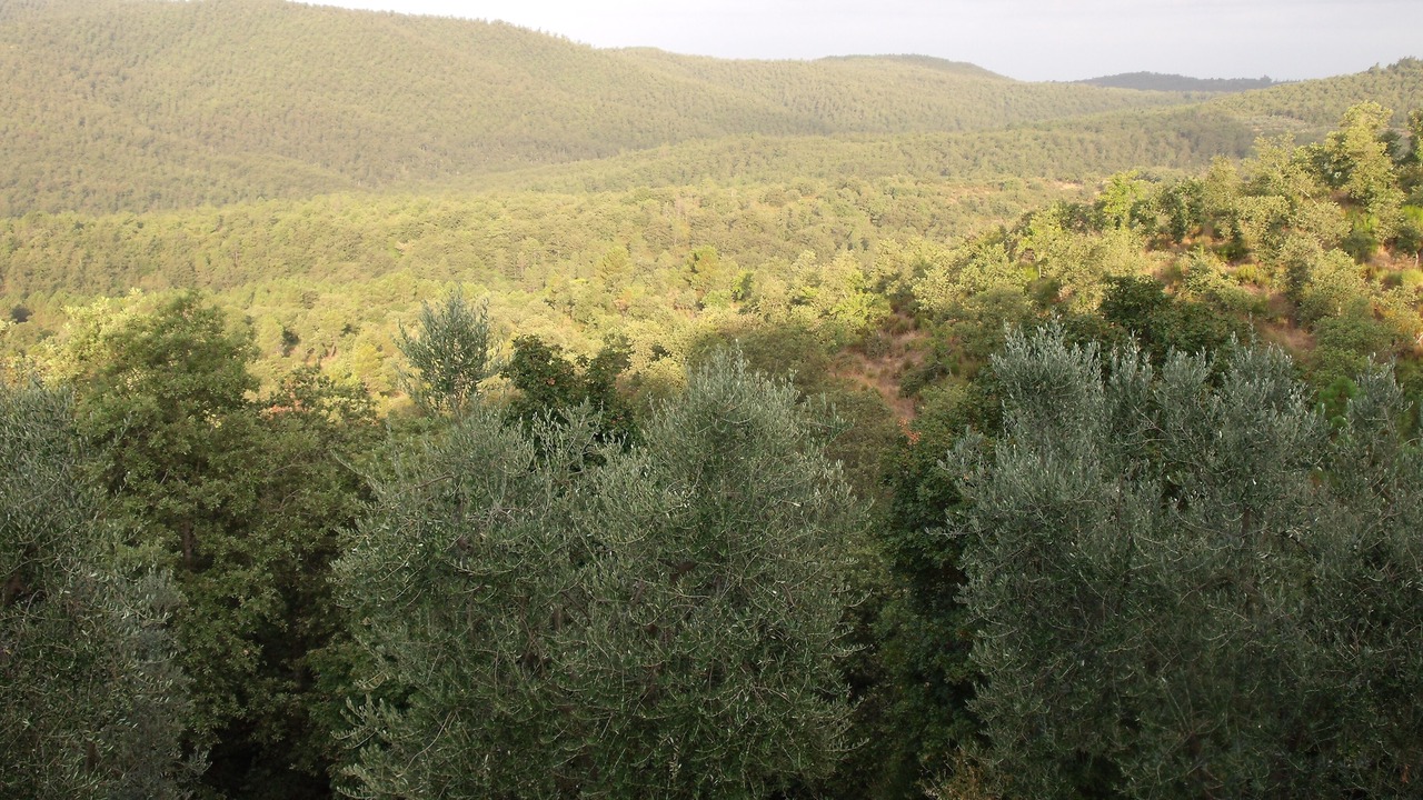 Photo of Outdoor in Monte San Savino