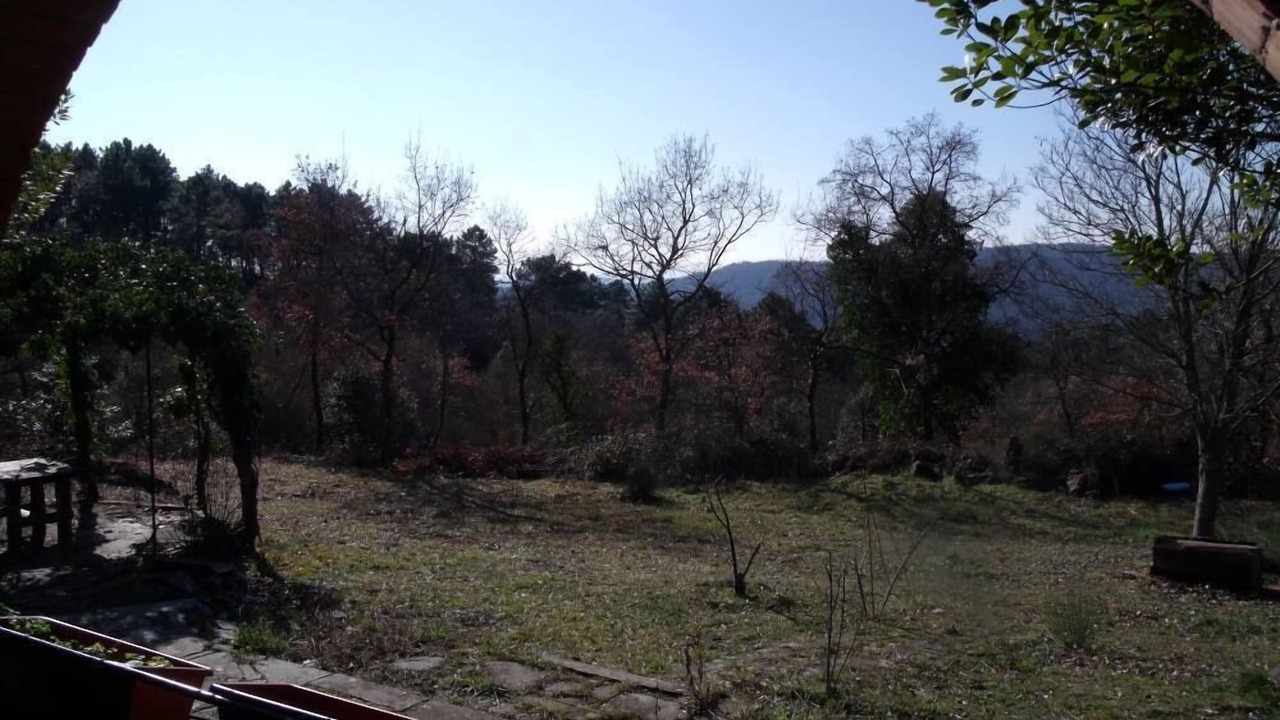 Photo of Outdoor in Monte San Savino