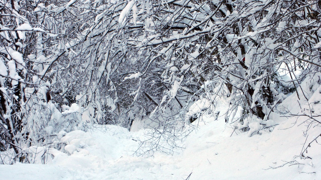 Photo of Others in Firenzuola