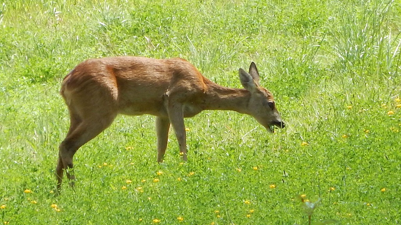 Photo of Outdoor in Firenzuola