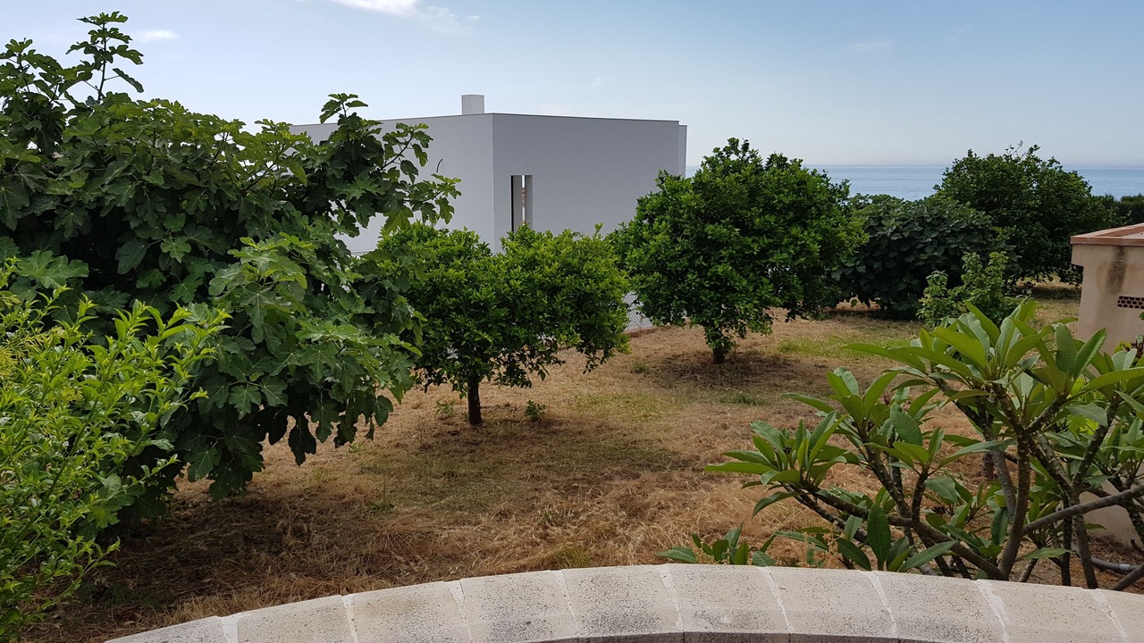 Photo of Patio Balcony in Benalmadena