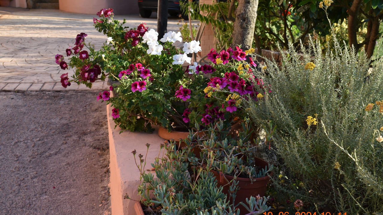 Photo of Outdoor in San Pantaleo