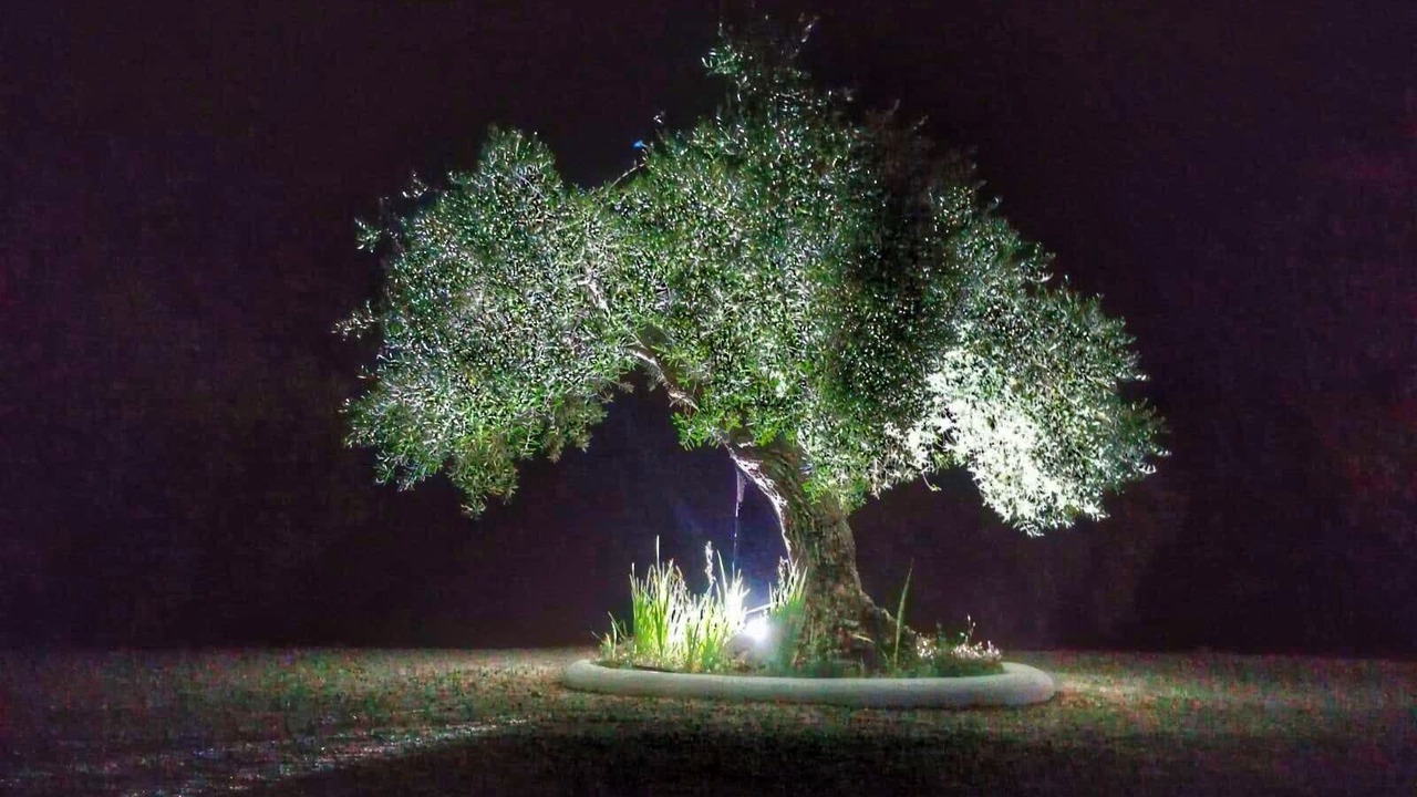 Photo of Outdoor in Ronda