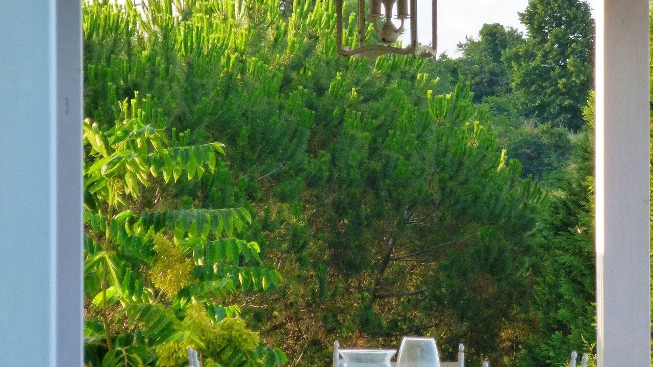 Photo of Outdoor in Santa Venerina
