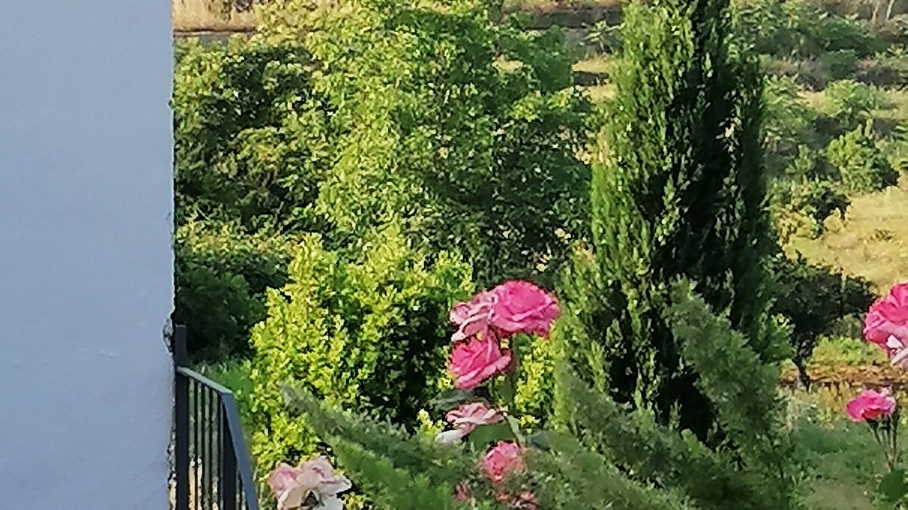 Photo of Outdoor in Santa Venerina
