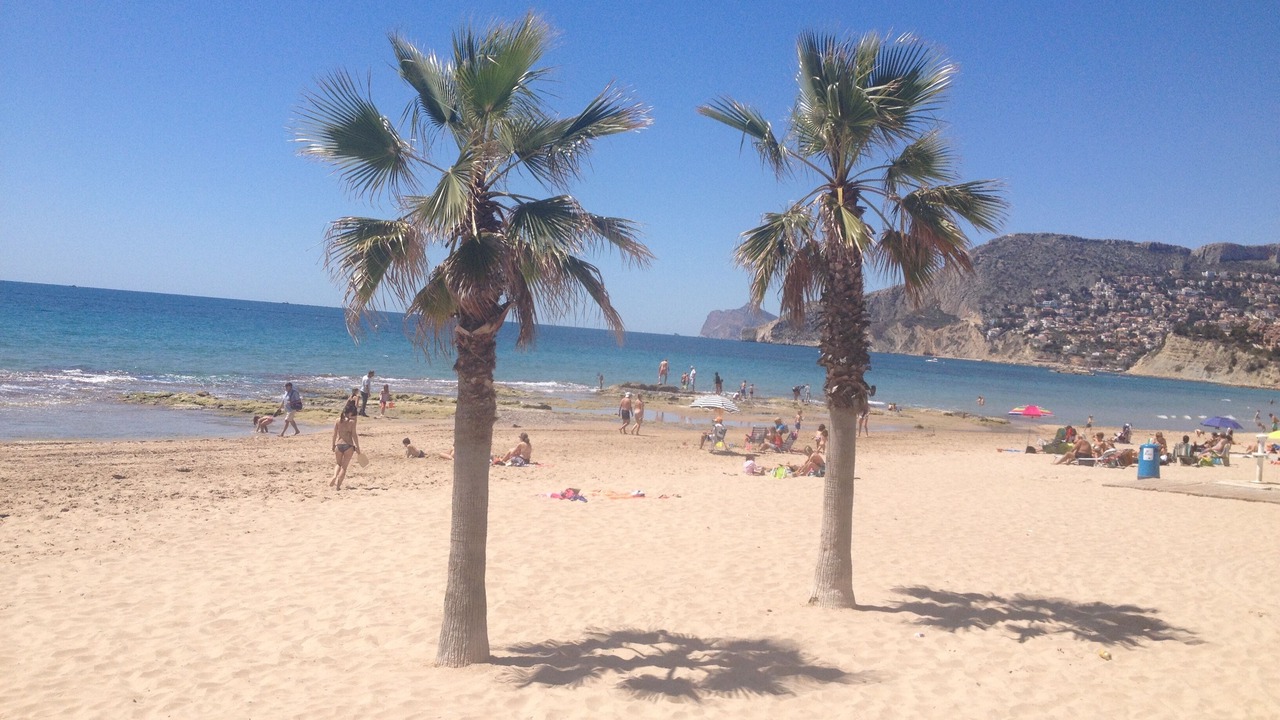 Photo of Others in Calpe City Center