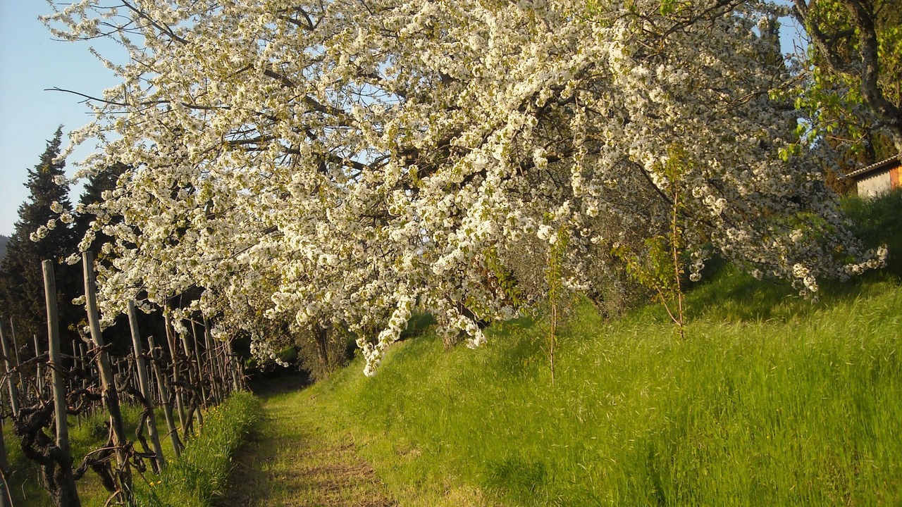 Photo of Outdoor in Londa