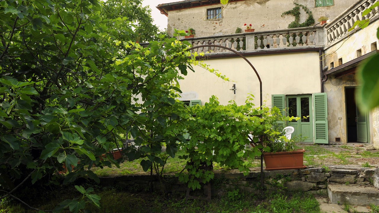 Photo of Outdoor in Londa