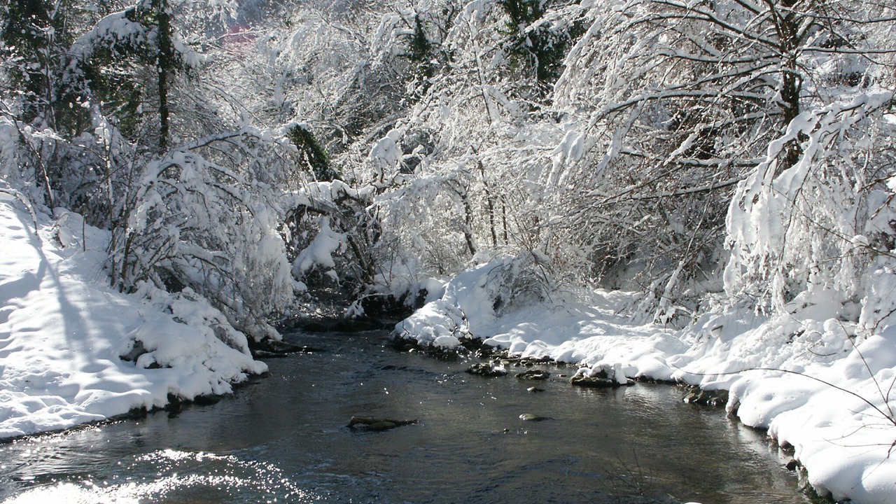 Photo of Others in Firenzuola