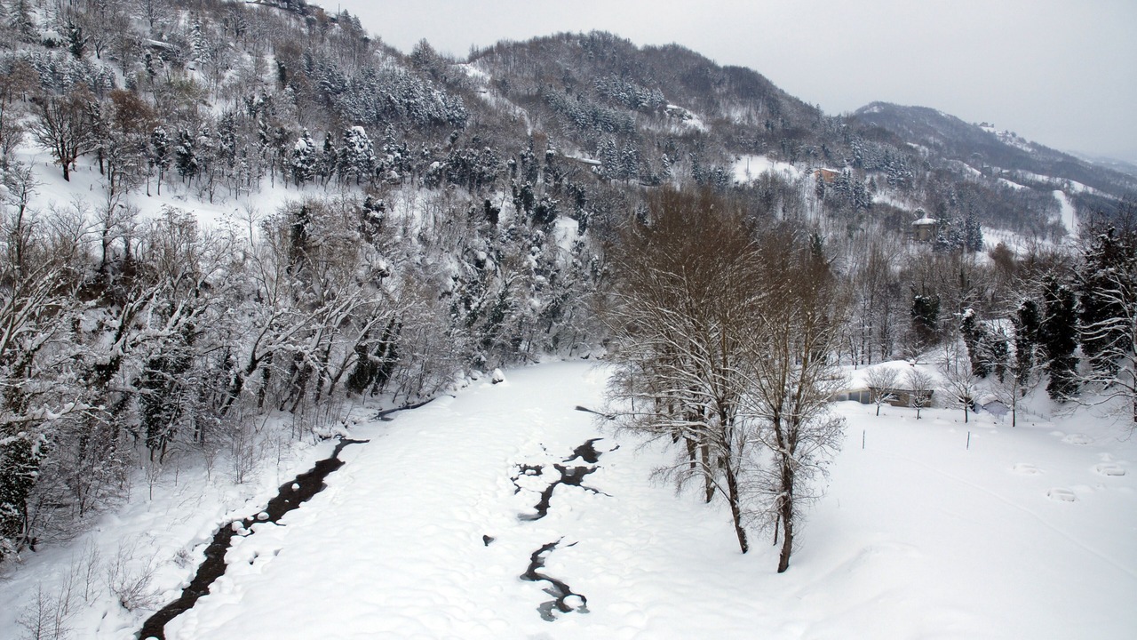 Photo of Others in Firenzuola