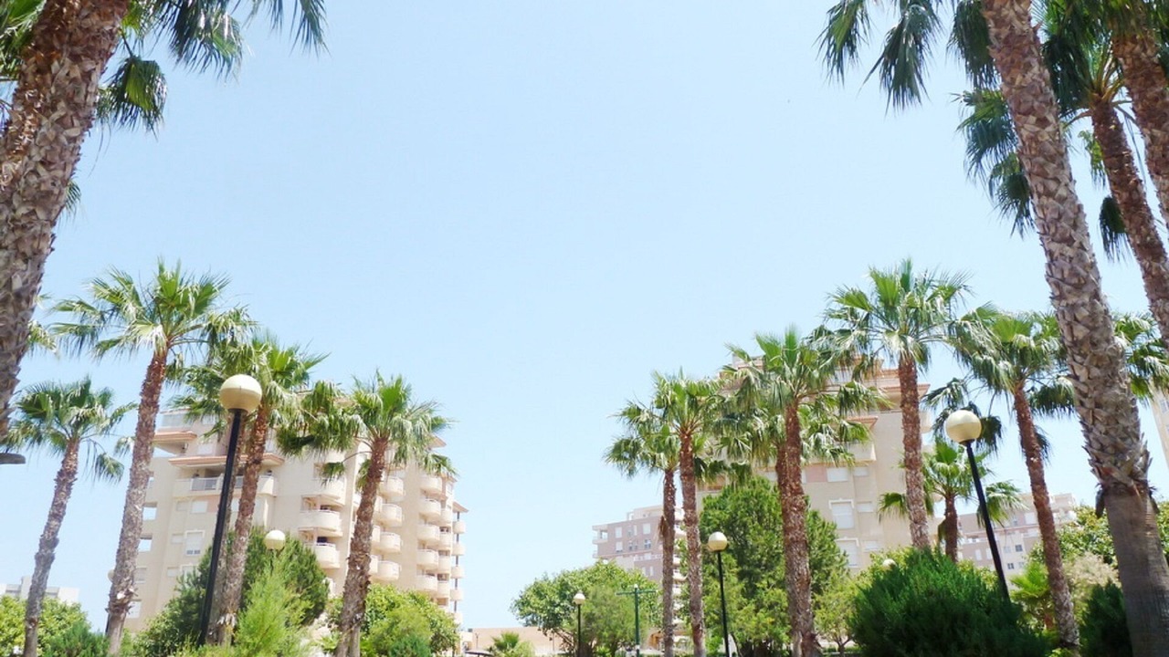 Photo of Outdoor in Diputacion de Rincon de San Gines