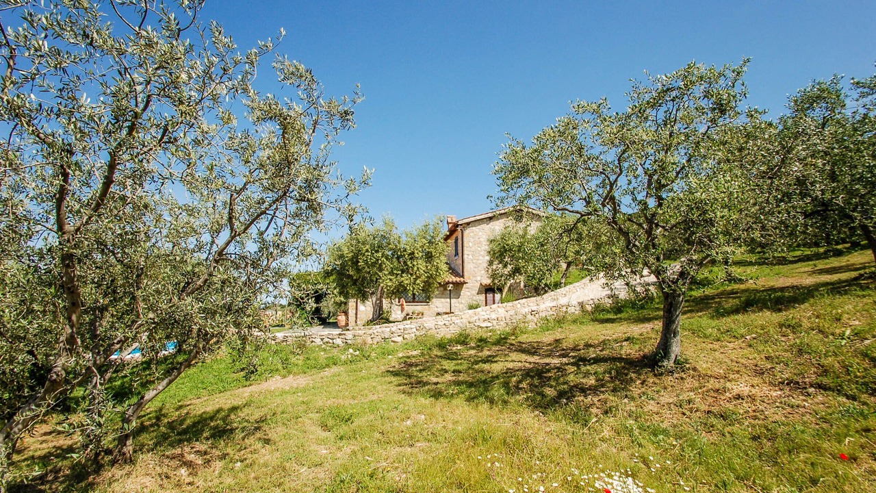 Photo of Outdoor in Montecchio