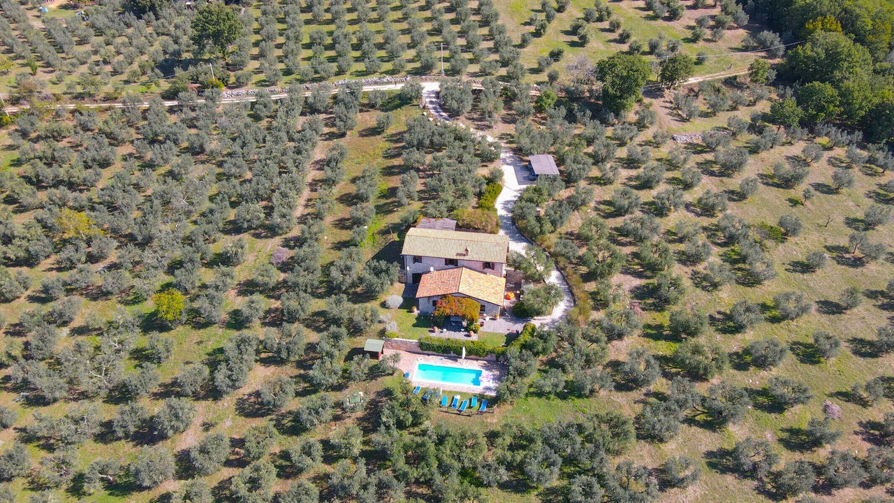 Photo of Outdoor in Montecchio