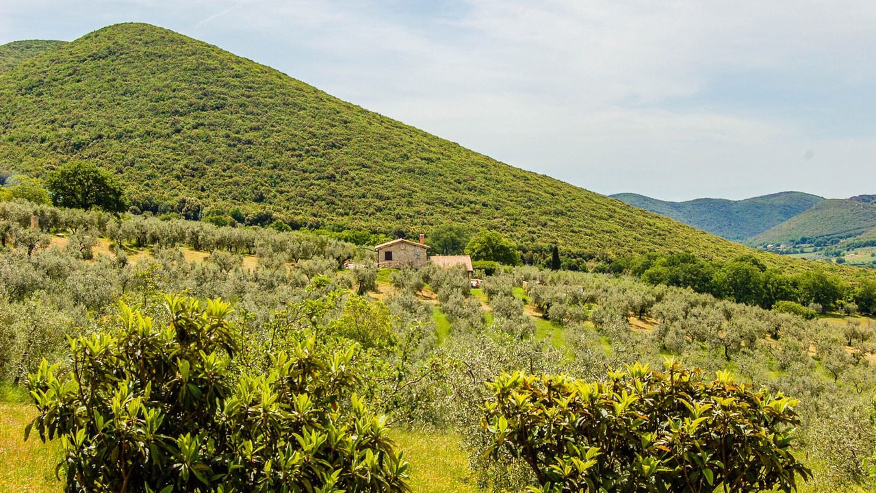 Photo of Outdoor in Montecchio