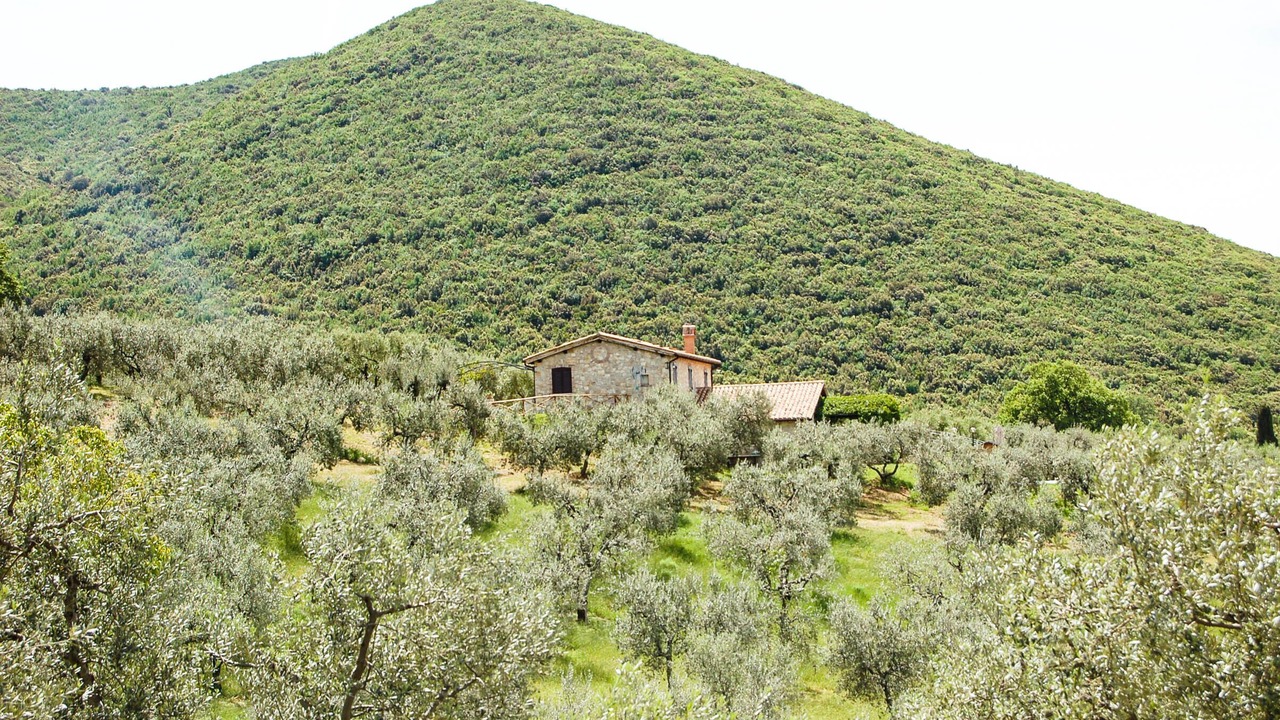 Photo of Outdoor in Montecchio
