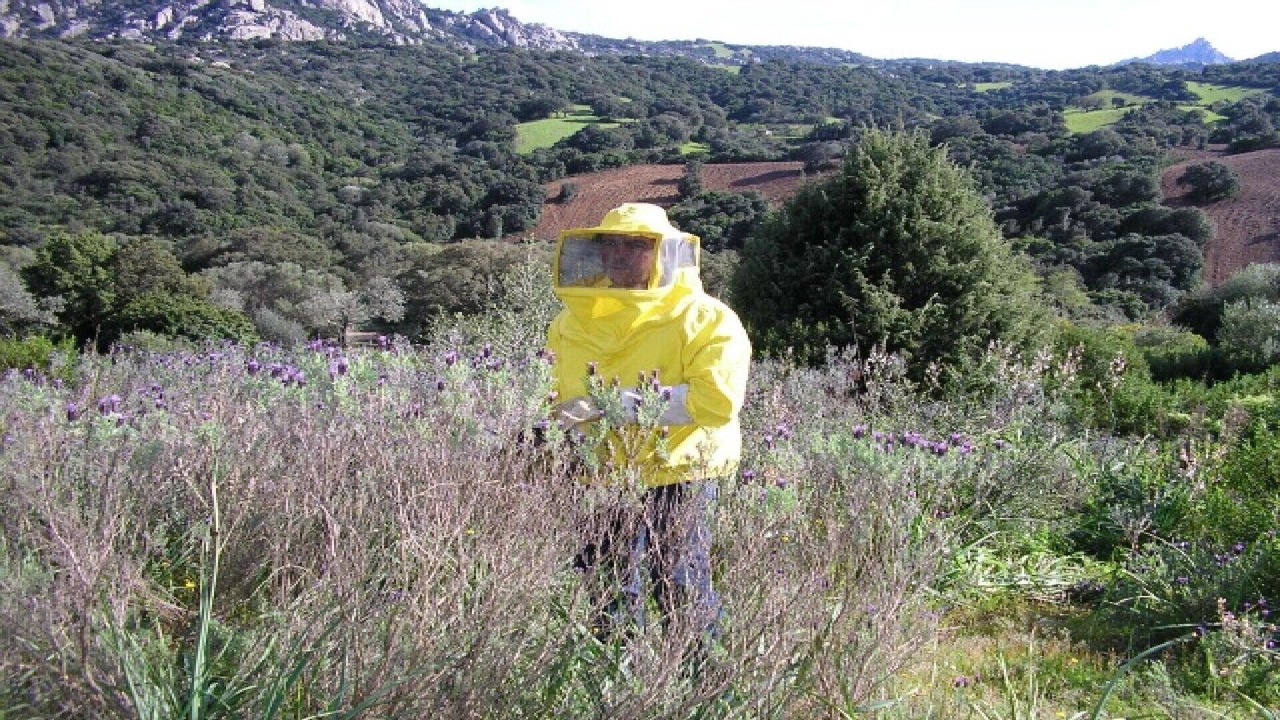 Photo of Others in San Pantaleo