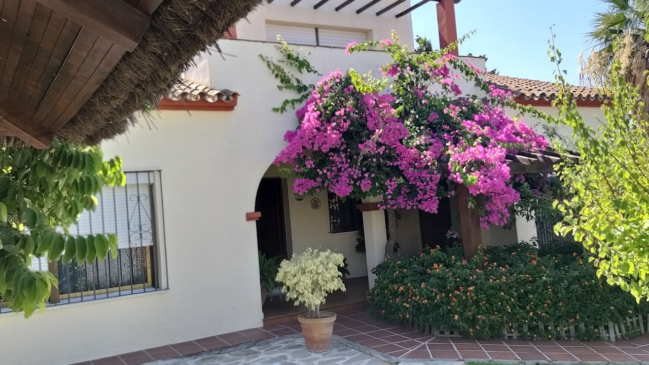 Photo of Outdoor in Los Barrios
