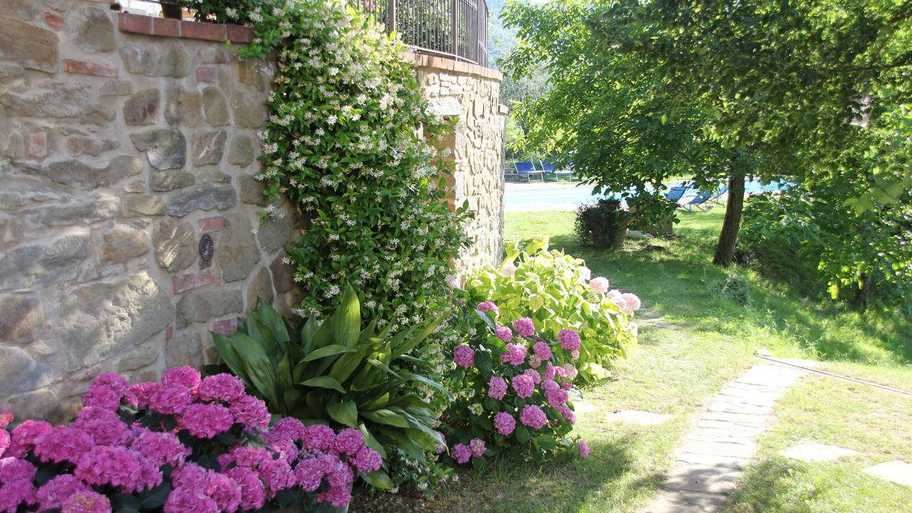 Photo of Outdoor in Monte San Savino