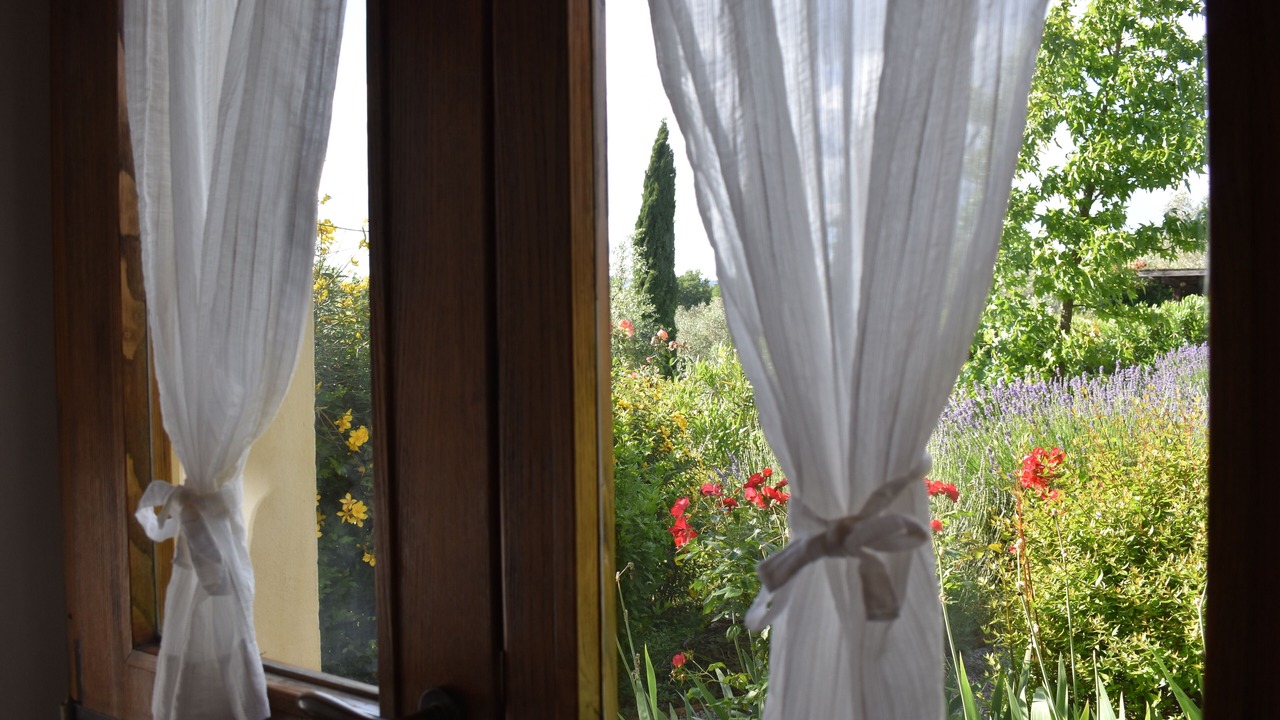 Photo of Others in Monte San Savino