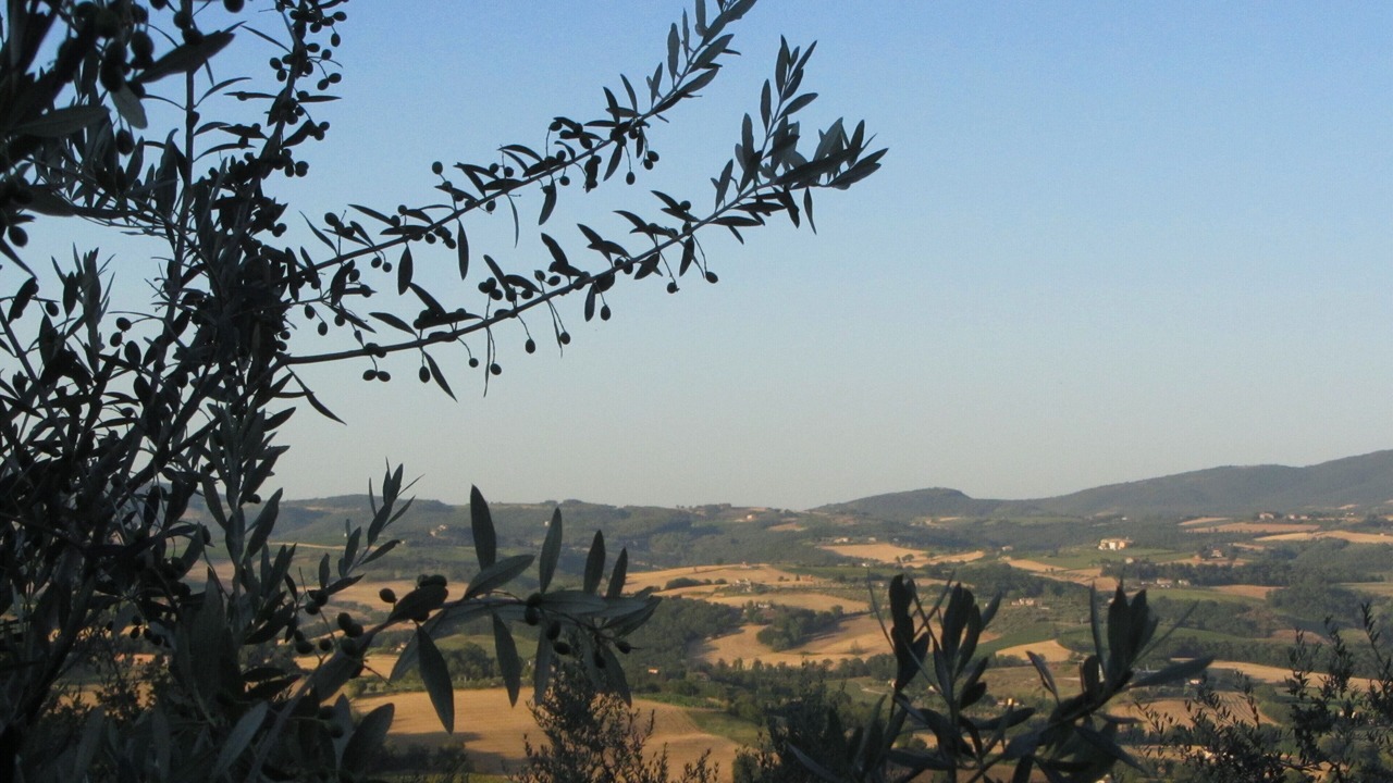 Photo of Others in Todi