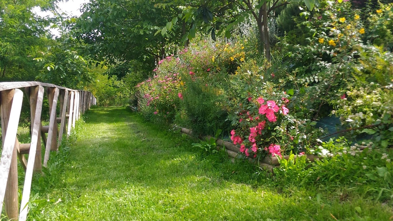Photo of Outdoor in Todi