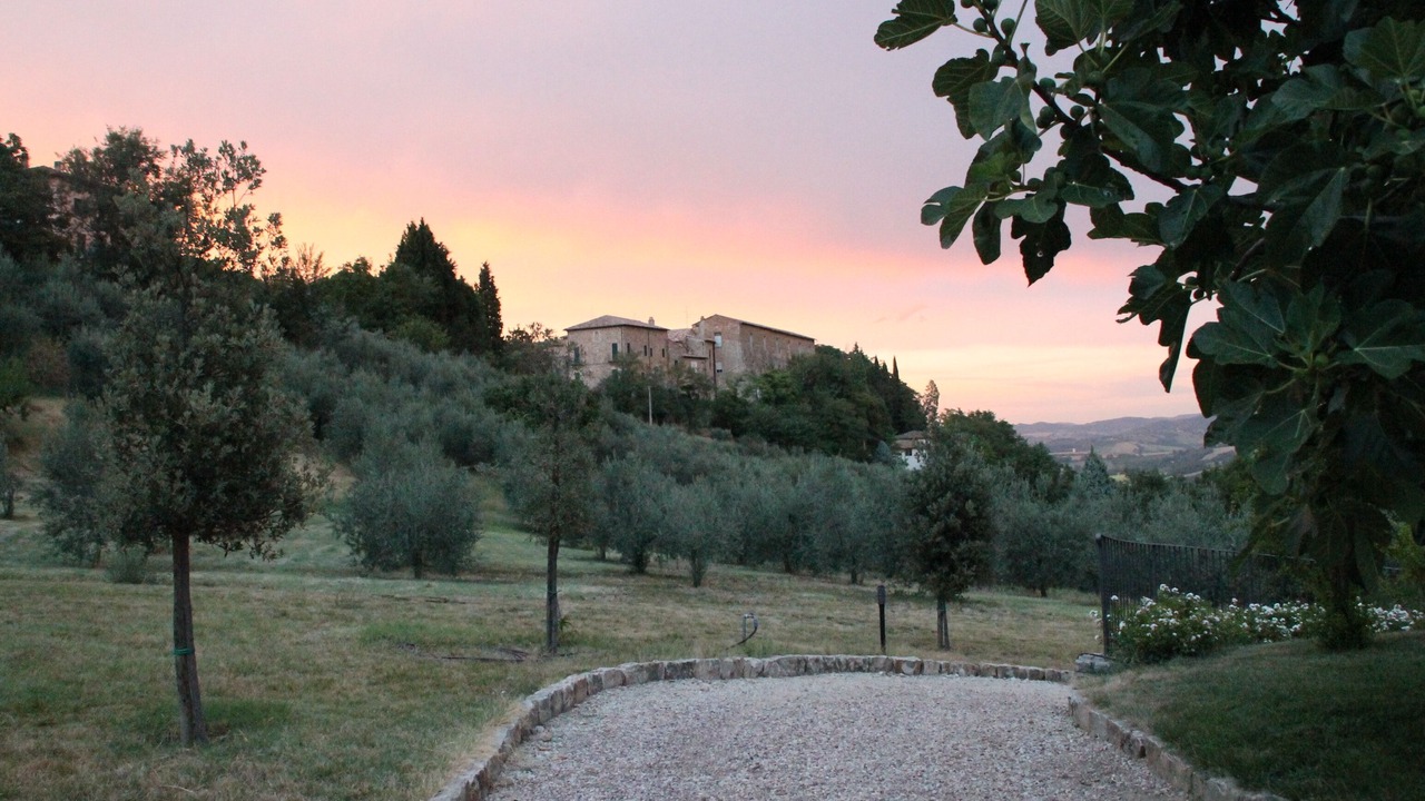 Photo of Others in Todi