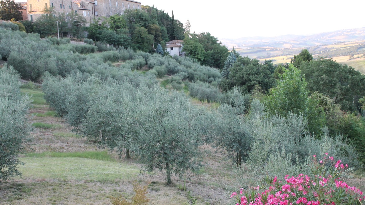 Photo of Others in Todi