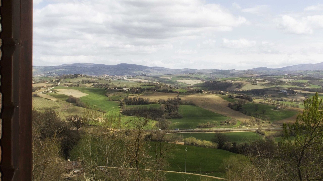 Photo of Others in Todi