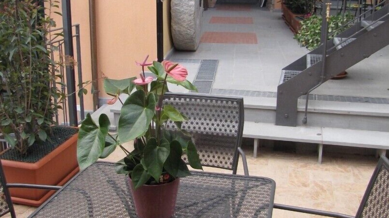 Photo of Outdoor in Terzorio