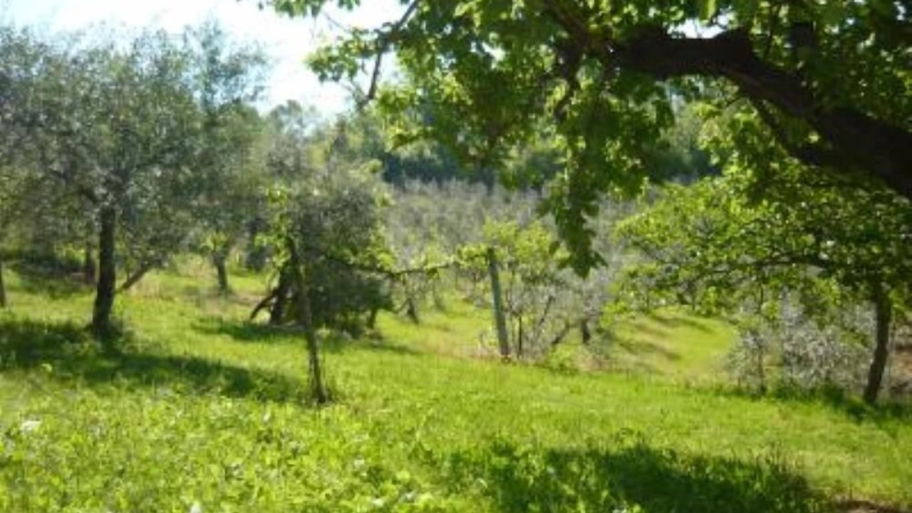 Photo of Outdoor in Canalicchio
