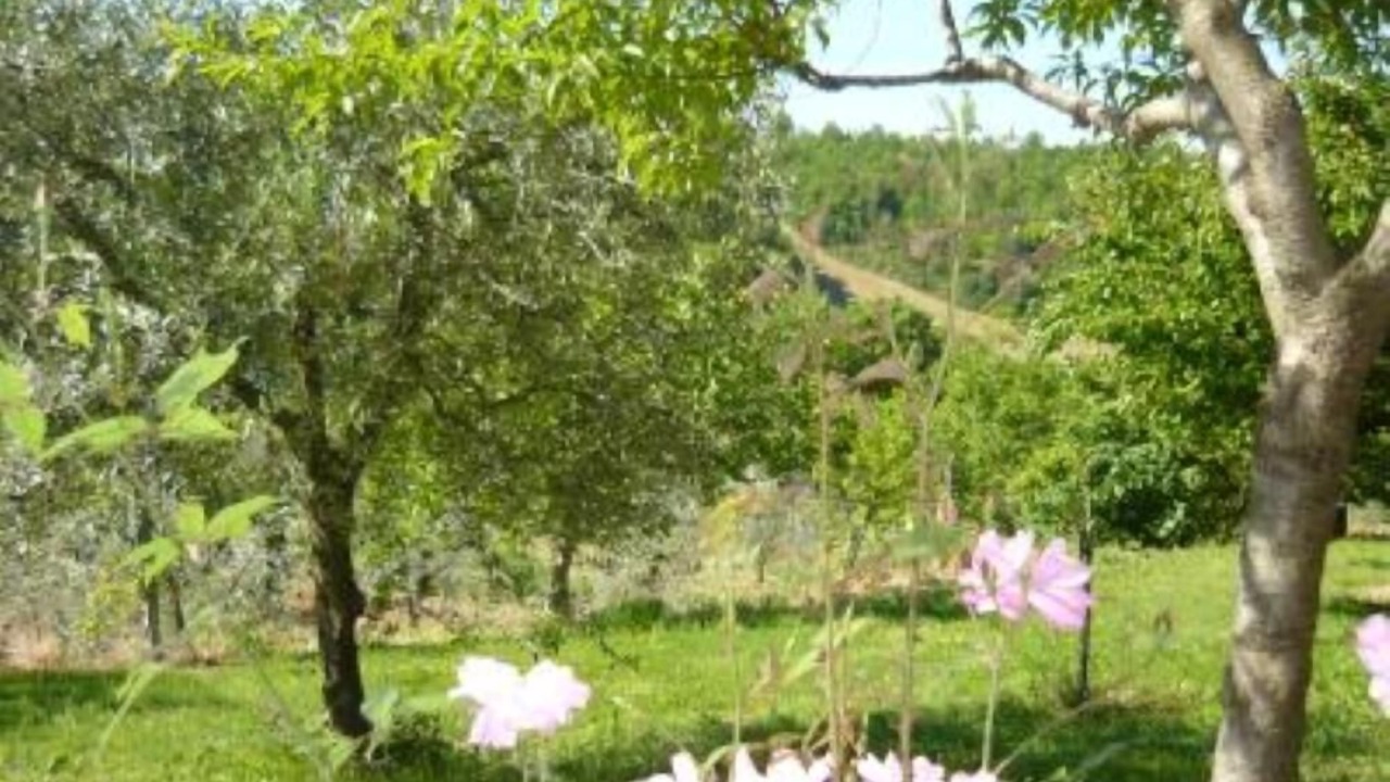 Photo of Outdoor in Canalicchio