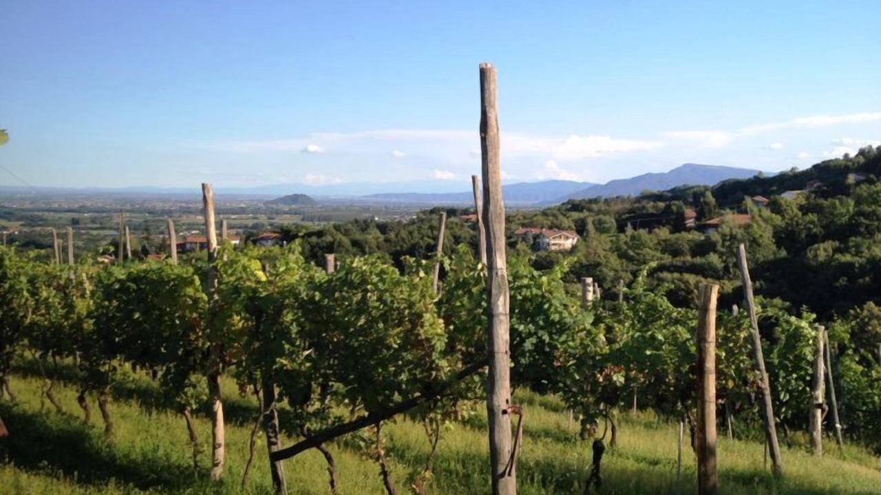 Photo of Outdoor in San Secondo di Pinerolo