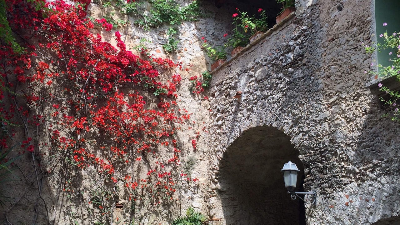 Photo of Outdoor in Giungano