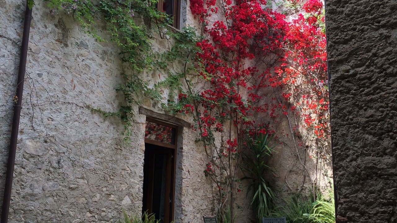 Photo of Patio Balcony in Giungano