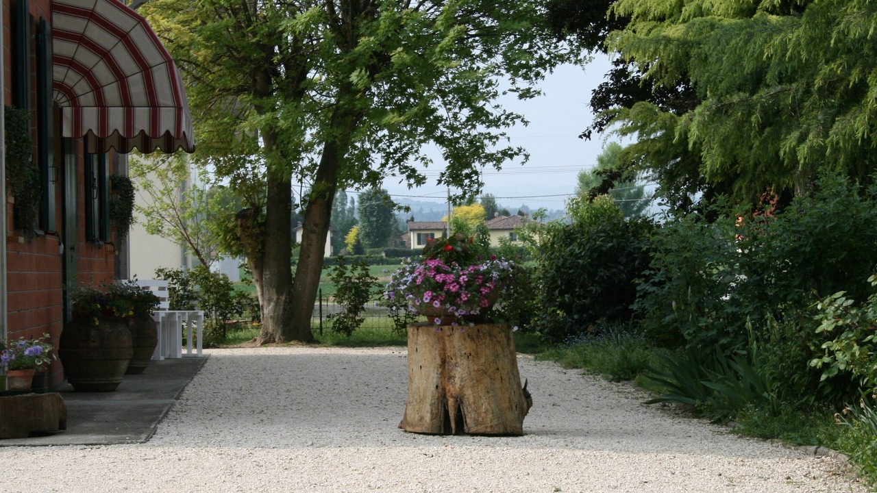 Photo of Outdoor in Crespellano