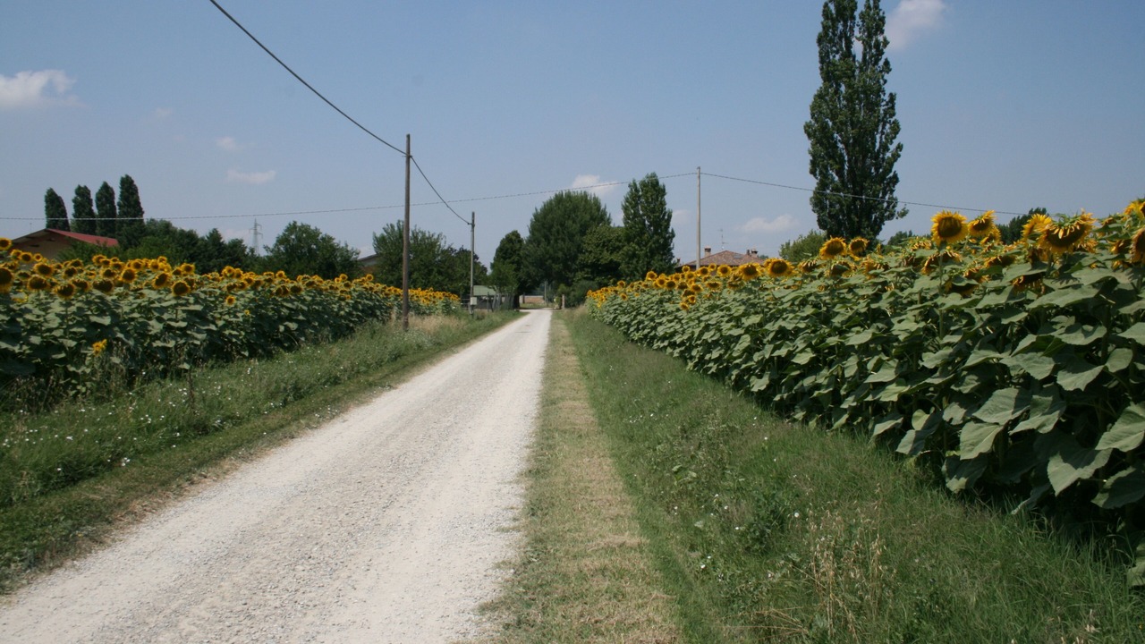 Photo of Outdoor in Crespellano