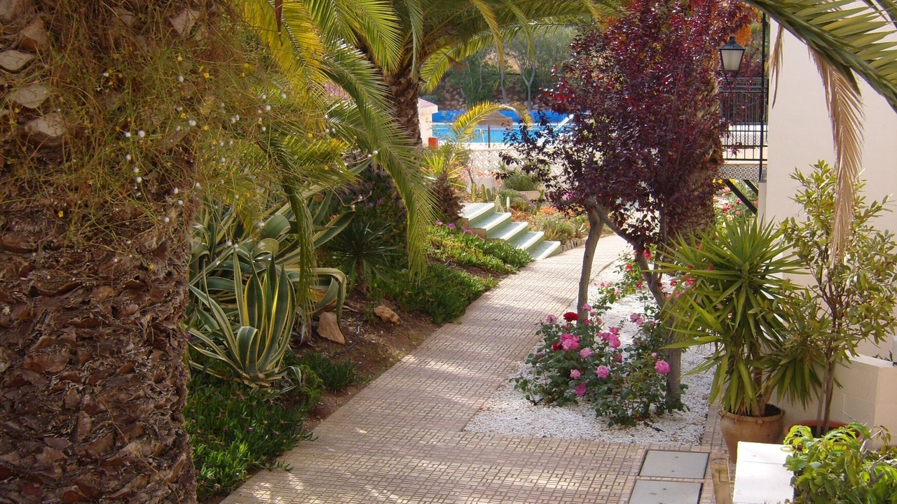 Photo of Outdoor in Diputacion de Rincon de San Gines